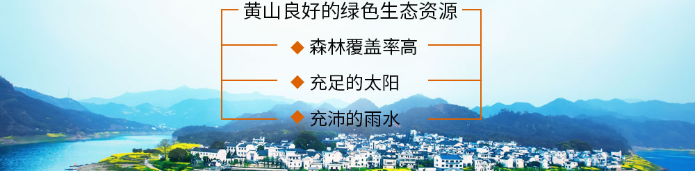 黄山市徽州宏星绿色实业有限公司