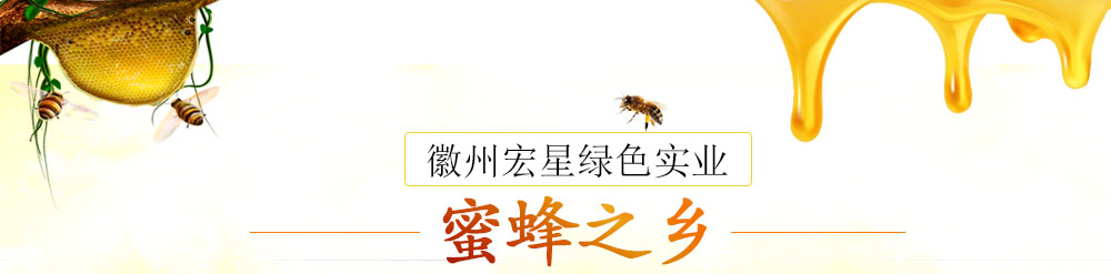 黄山市徽州宏星绿色实业有限公司